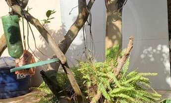 Imagem 4: Casa no Condomínio Morada da Serra IV à venda em Cuiabá