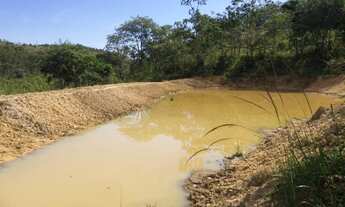 Imagem 3: Sítio, ótimo investimento,20 hectares