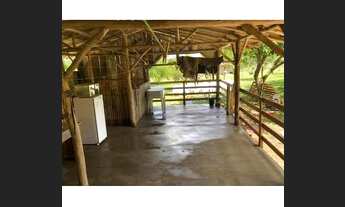 Imagem 4: Lindo sítio em general câmara!!!!