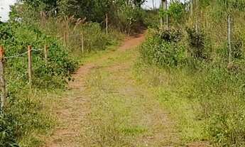 Imagem 4: Terreno com loteamento Humaitá