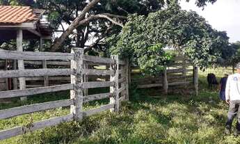 Imagem 7: Fazenda - Venda 80 KM da capital, 60 km de asfalto + 20 km de estrada de chão