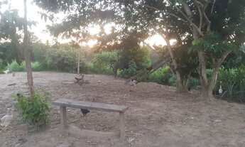 Imagem 5: Vendo Área de Terra em Sena Madureira