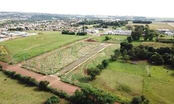 Imagem 6: Toledo - Lote/Terreno - Jardim Santa Clara IV