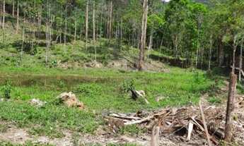 Imagem: Terreno no bairro Gasparinho em Gaspar