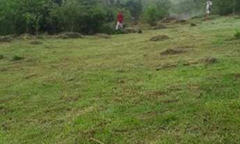 Imagem 6: Lote/Terreno para venda com 600 metros quadrados com 1 quarto em Bela Vista - São Paulo