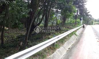 Imagem 3: GAROPABA - Terreno Padrão - Siriu