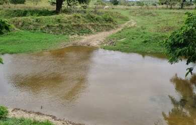 Imagem 4: Fazenda Em Umbauba