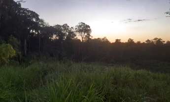 Imagem 2: Vendo Área de Terra em Sena Madureira