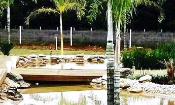 Imagem 5: Mega Oportunidade ! Rancho de luxo - Bela Vista ! 20 mil metros