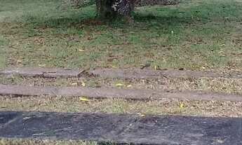 Imagem 6: Casa na praia mosqueiro pra julho