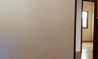 Imagem 5: SANTO ANDRé - Padrão - Santa Maria