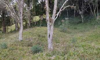 Imagem 7: Sítio a venda em Rancho Queimado