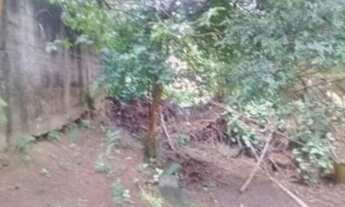 Imagem 5: 06016 - Terreno, VILA SANTOS - SÃO PAULO/SP