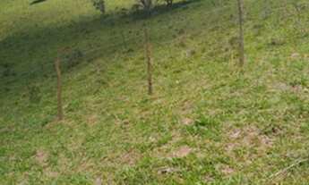 Imagem: Terreno em sp fechado corra lançamento