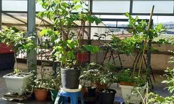 Imagem 5: Casa com 3 dormitórios à venda, 240 m² por R$ 790.000 - Cidade Antônio Estevão de Carvalho