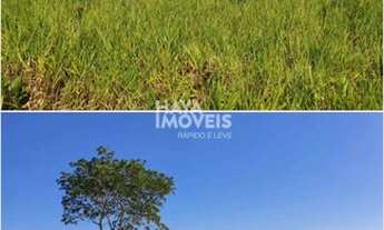 Imagem 5: Fazenda à venda, Rural, Figueirão, MS