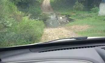 Imagem: Vendo excelente fazenda pecuária gongogi