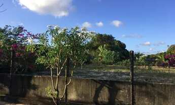 Imagem 2: Oportunidade única. Vendo Terreno no parque das árvores