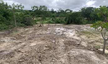 Imagem 5: Chácara 2500m², Córrego (Permanente), Energia, Terra Mista, Entre Guapó e Aragoiânia