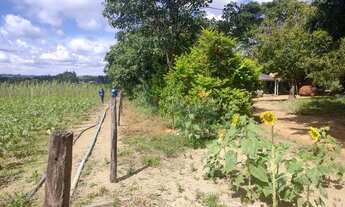 Imagem 5: Fazendinha chácara DF Alexandre Gusmão Brazlândia