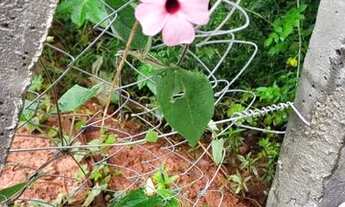 Imagem 6: Lindo Chale Loft Duplex 70 m2 em Campo Largo - a 20min do Parque Barigui