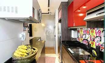 Imagem 3: São Paulo - Apartamento Padrão - Pari