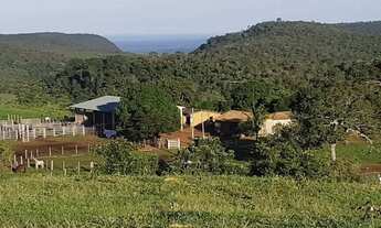 Imagem 8: . Uma Fazenda 110 alqueires 67 km de Porto Nacional
