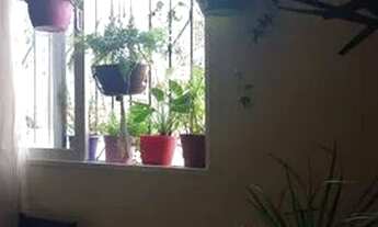 Imagem 2: Apto 2 Dorm. Jd. Flamboyant/Alto da Barra