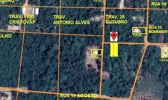 Imagem 4: Vendo Terreno Alter do Chão Prox Estrada Pindobal