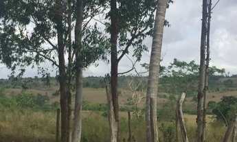 Imagem 3: Sitio 50 km Recife e 2 km da cidade de Glória do Goita