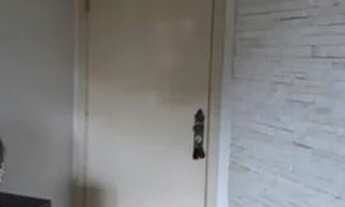 Imagem: Apartamento Vila Euclides São Bernardo