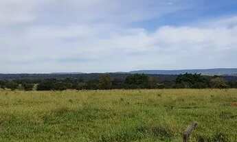 Imagem 5: R$ 125.000.000 Fazenda 817 alqueires Região de Iporá-GO