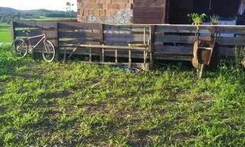 Imagem 3: Vendo ou alugo casa em são João do Itaperiú