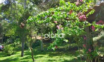 Imagem 6: Excelente terreno