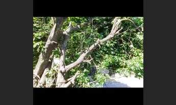 Imagem 4: Alugo casa no Camorim - Jacarepaguá