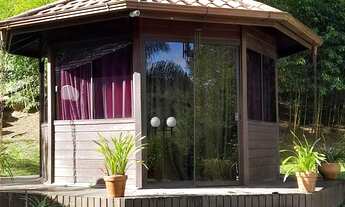 Imagem 2: Sírio em angelina SC