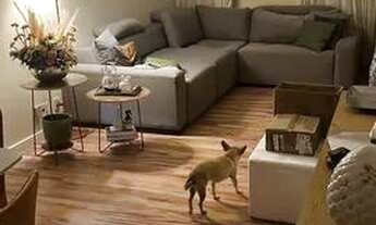 Imagem 5: Locação Apartamento com 3 dormitórios