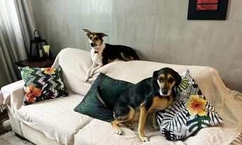 Imagem 3: Apartamento para venda tem 62 metros quadrados com 1 quarto em Boqueirão - Santos - SP