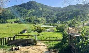 Imagem 3: Venda Chácara Chácara com venda por R$600.000