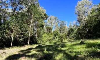 Imagem 5: Chácara com cachoeiras em São Francisco de Paula RS