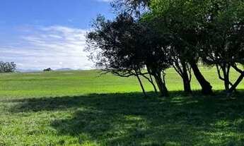 Imagem: Campo para pecuária em Taquara RS