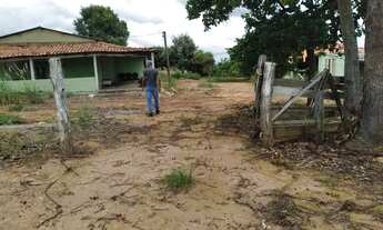Imagem 4: Vendo fazenda Batis MG 320 hequitarias