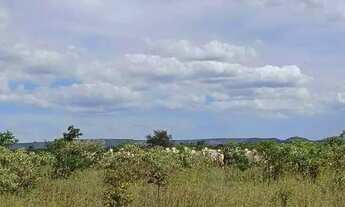 Imagem: Excelente fazenda dupla aptidão com 4.583