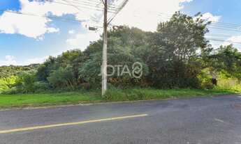 Imagem 3: ÓTIMO TERRENO PARA CONSTRUÇÃO DE SOBRADOS! Ótimo terreno para construção de sobrados - j8