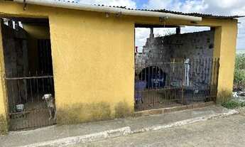 Imagem: Oportunidade Única em CHA DE ALEGRIA