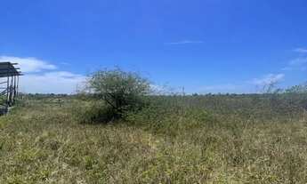 Imagem: TERRENO 10x56 São Gonçalo dos Campos (