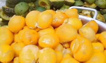 Imagem 3: Chácara Mirabela 2500 m2