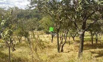 Imagem: Excelente lote com 525 m²