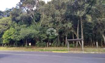 Imagem 3: TERRENO NO BAIRRO CRUZEIRO- CAXIAS DO SUL