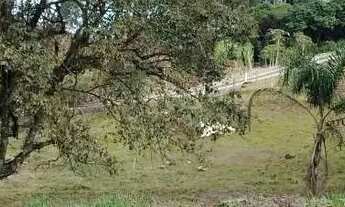 Imagem 4: Terreno para Venda em Picada Café, Centro